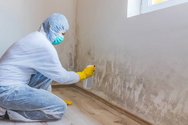 Crawl Space Mold Remediation treatment of floor joists in Flinton