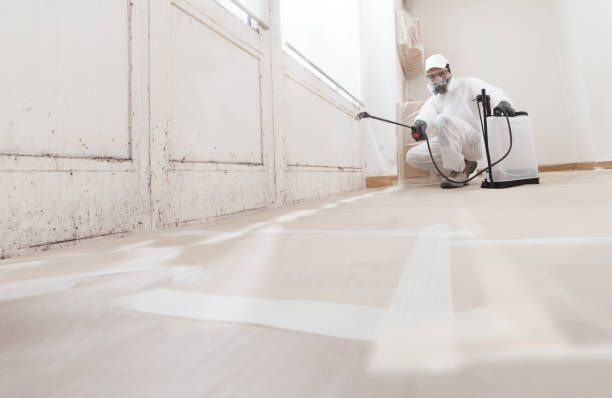 Post-remediation clearance in Flinton